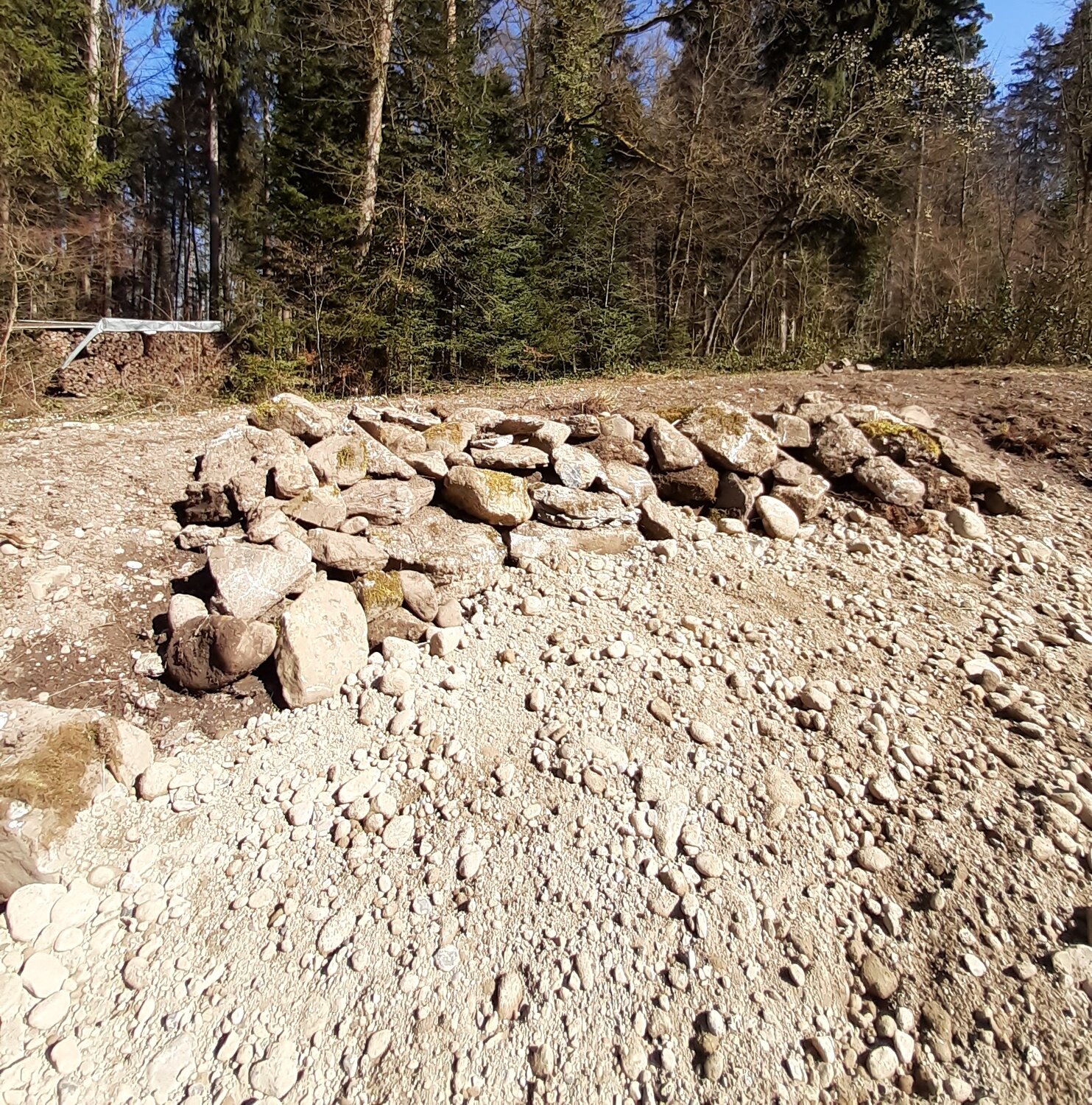 Ökologische Aufwertung