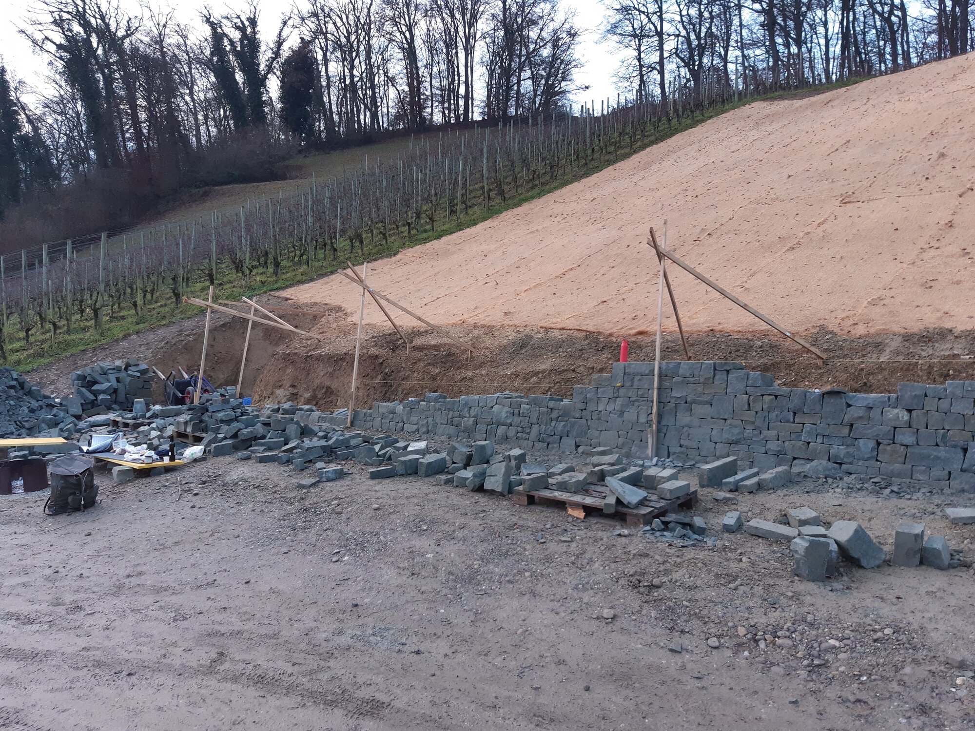 Enter your caption here...