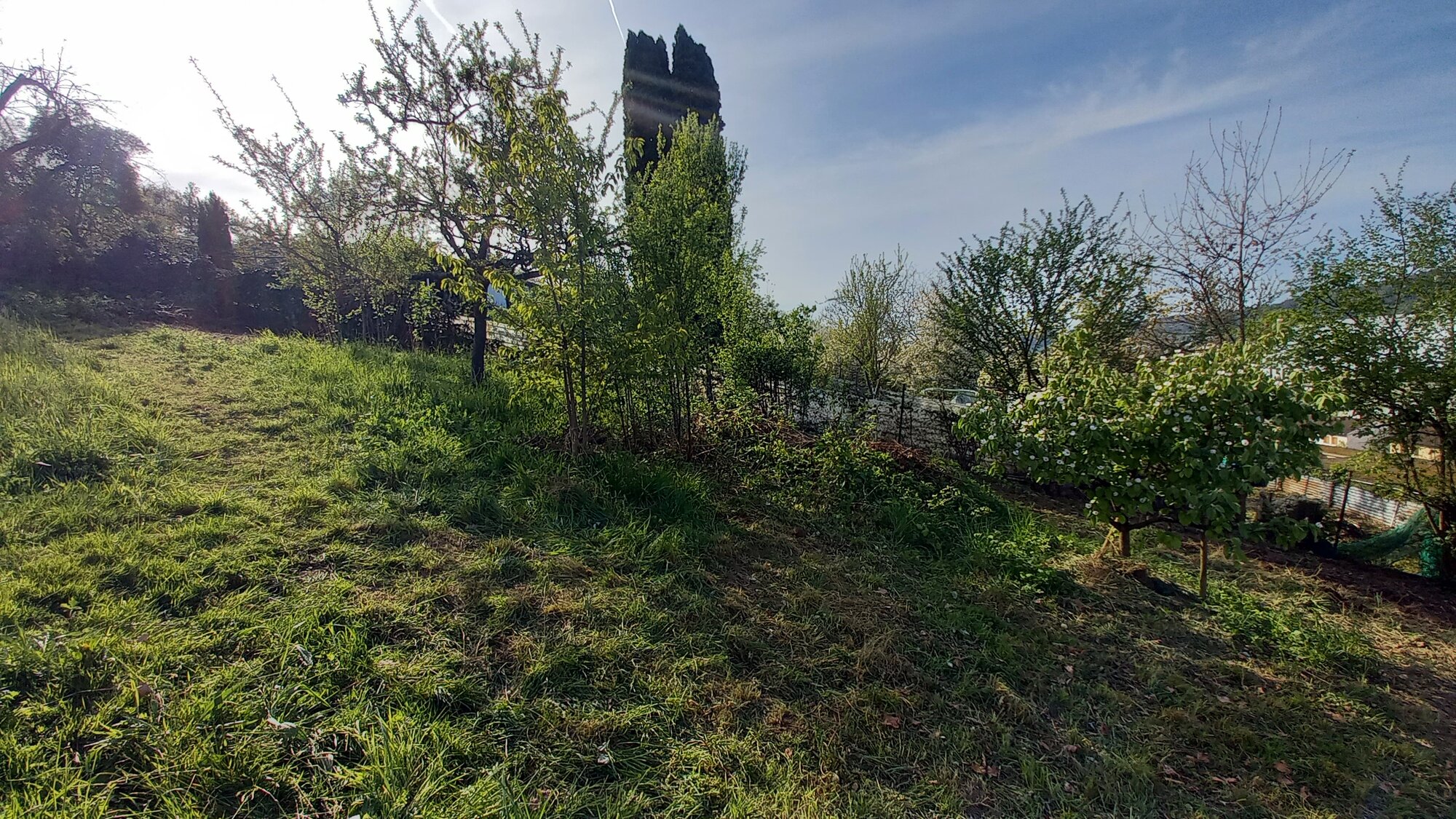 Enter your caption here...