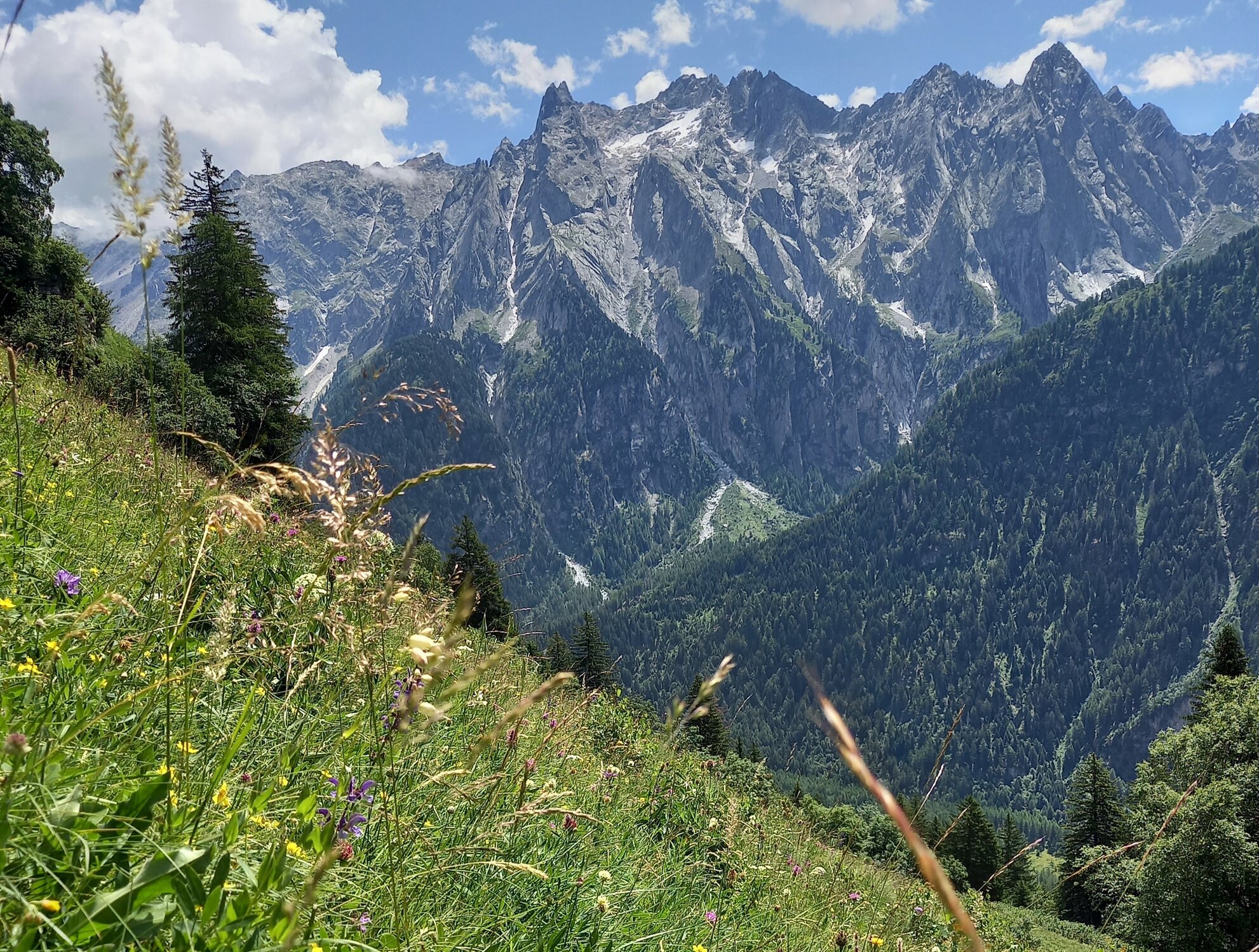 Enter your caption here...