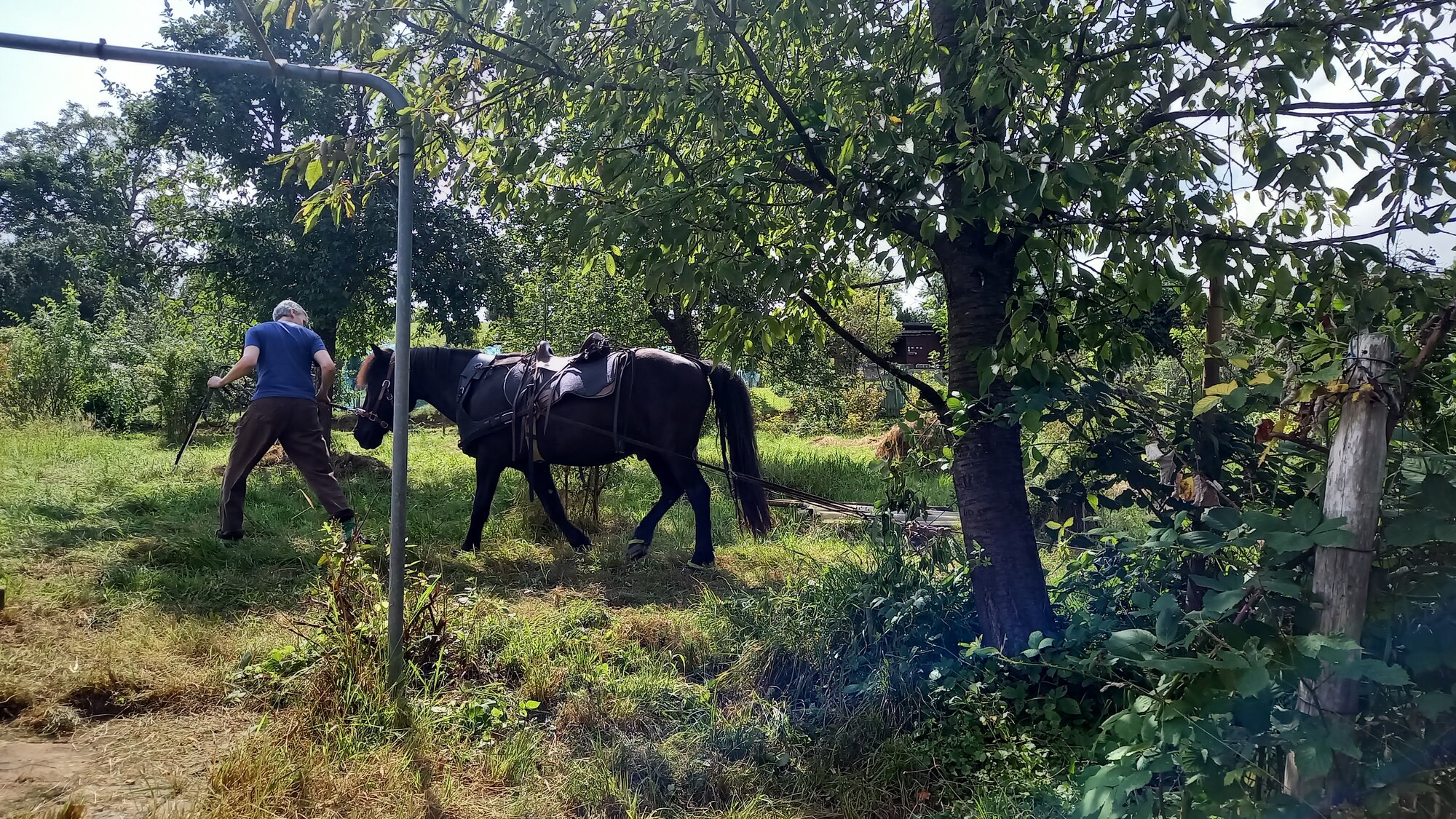 Ökologische Aufwertung