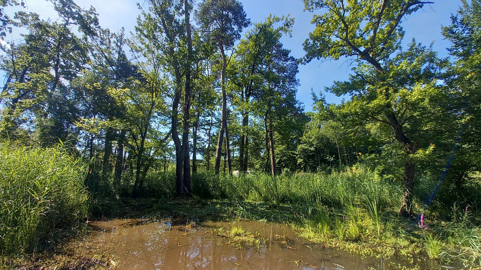 Enter your caption here...