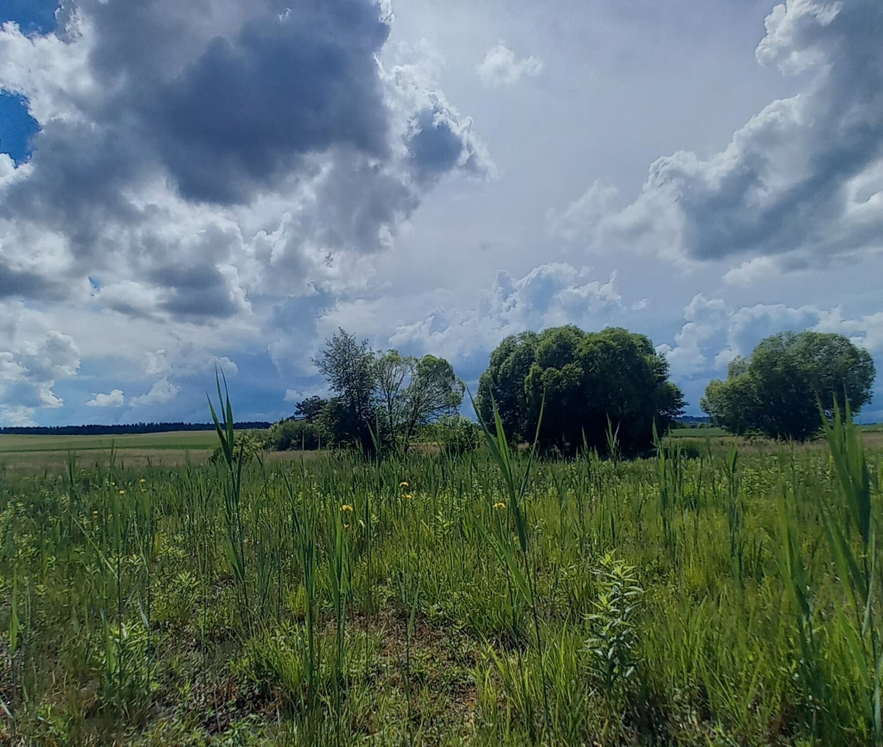 Pflege Naturschutzgebiete