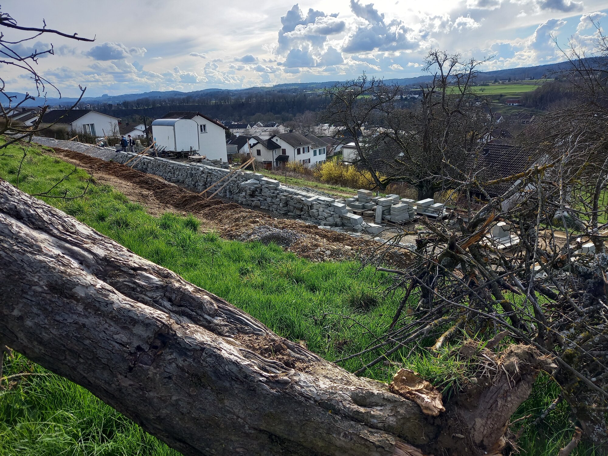 Enter your caption here...