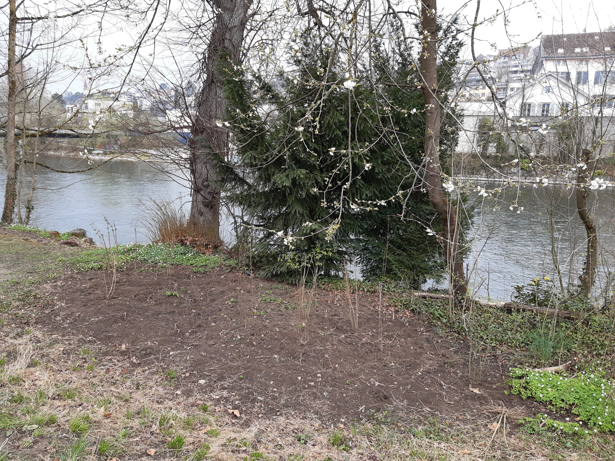 Enter your caption here...