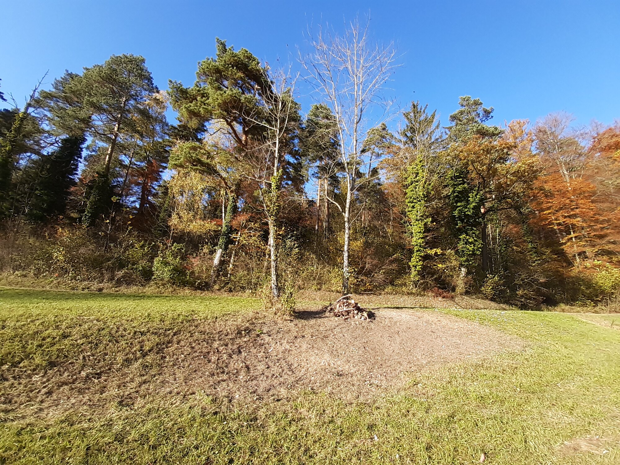 Enter your caption here...