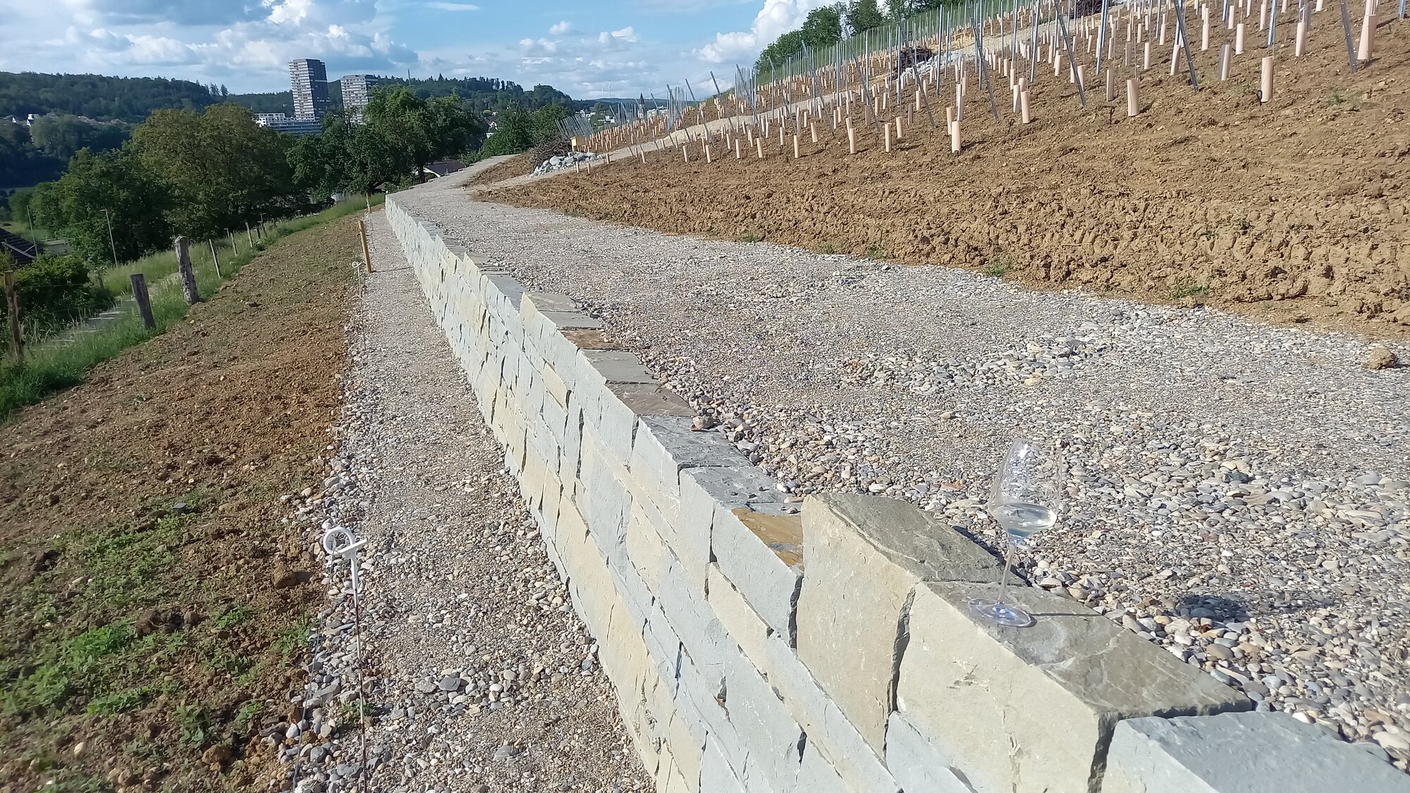 Enter your caption here...