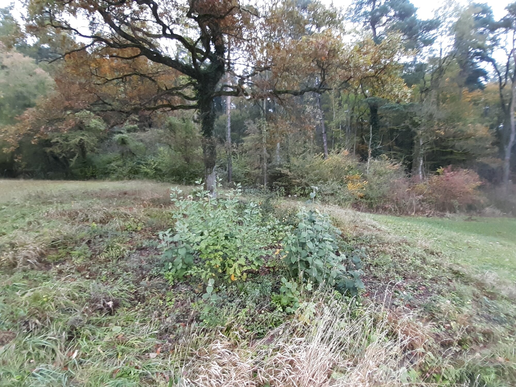 Enter your caption here...