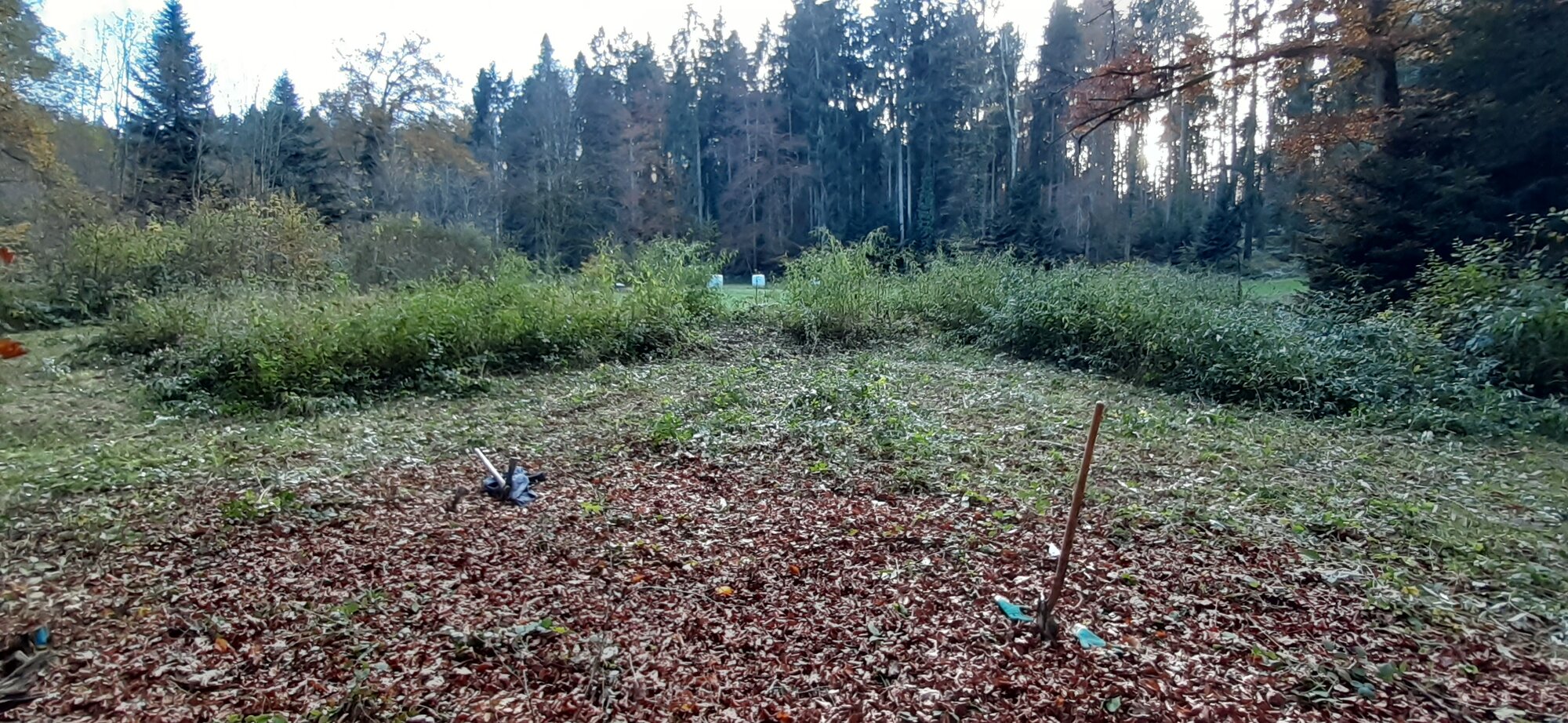 Enter your caption here...