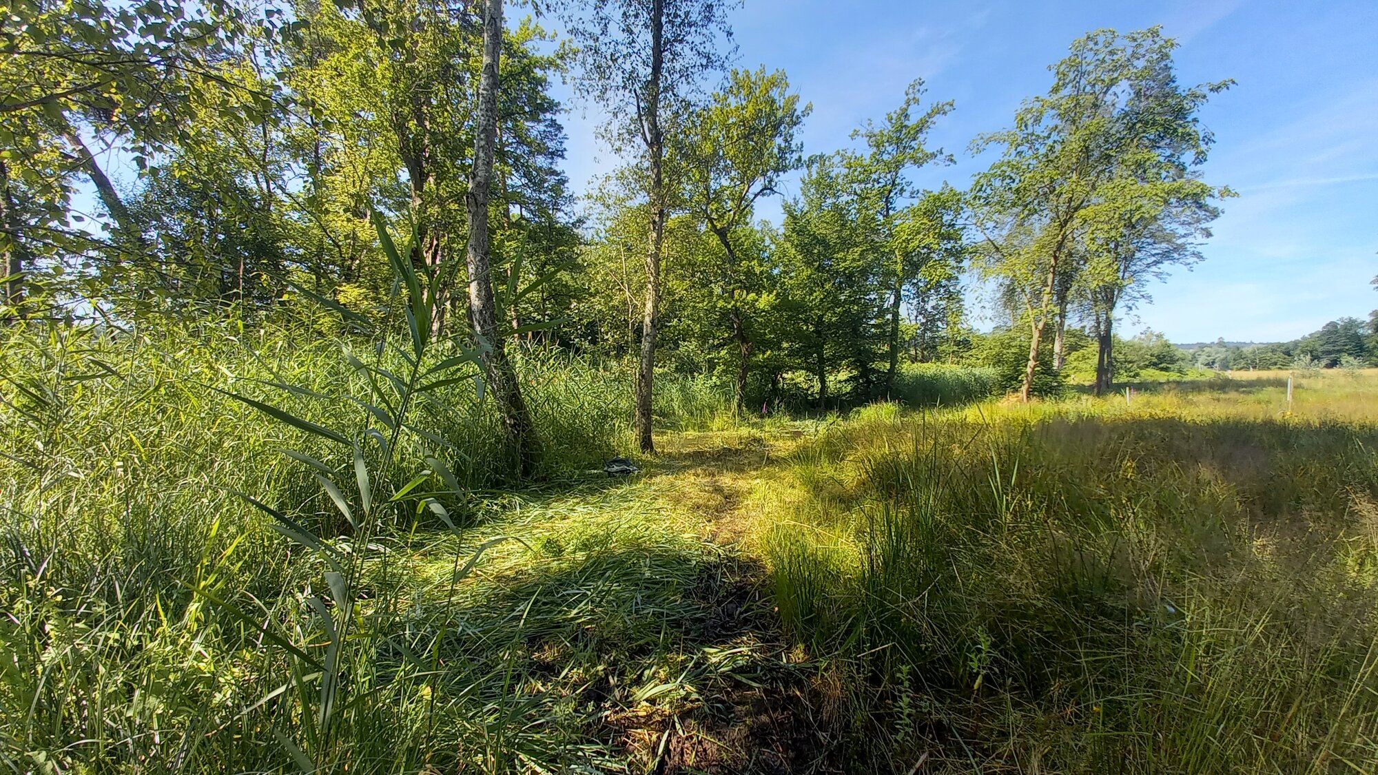 Enter your caption here...