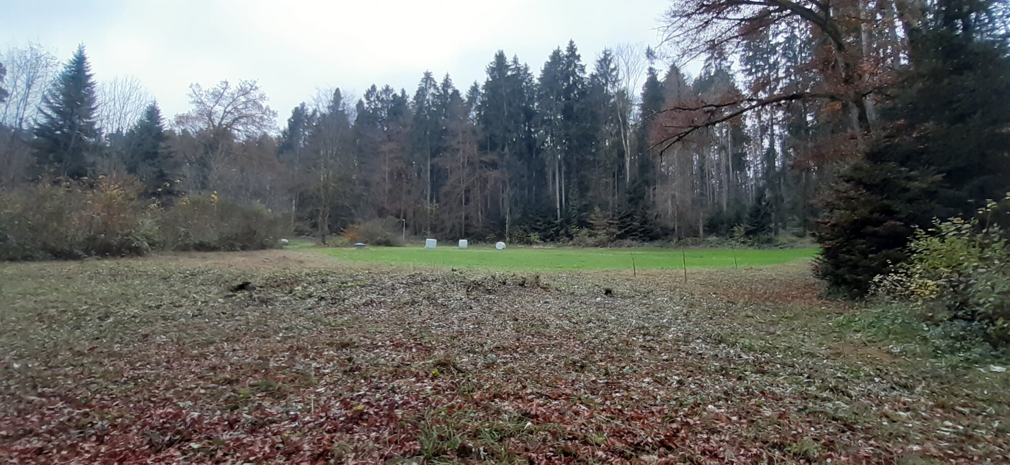 Enter your caption here...