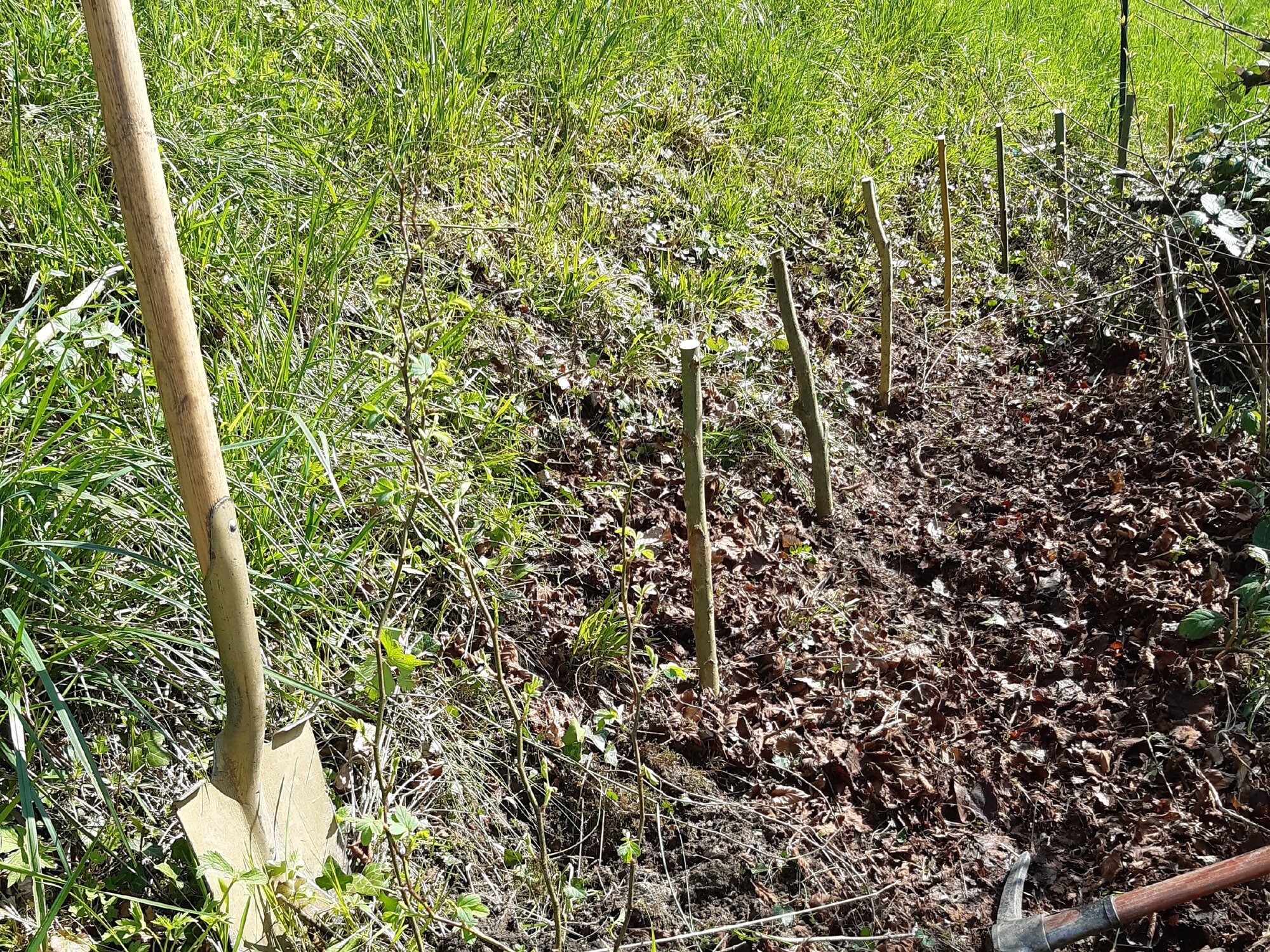 Enter your caption here...