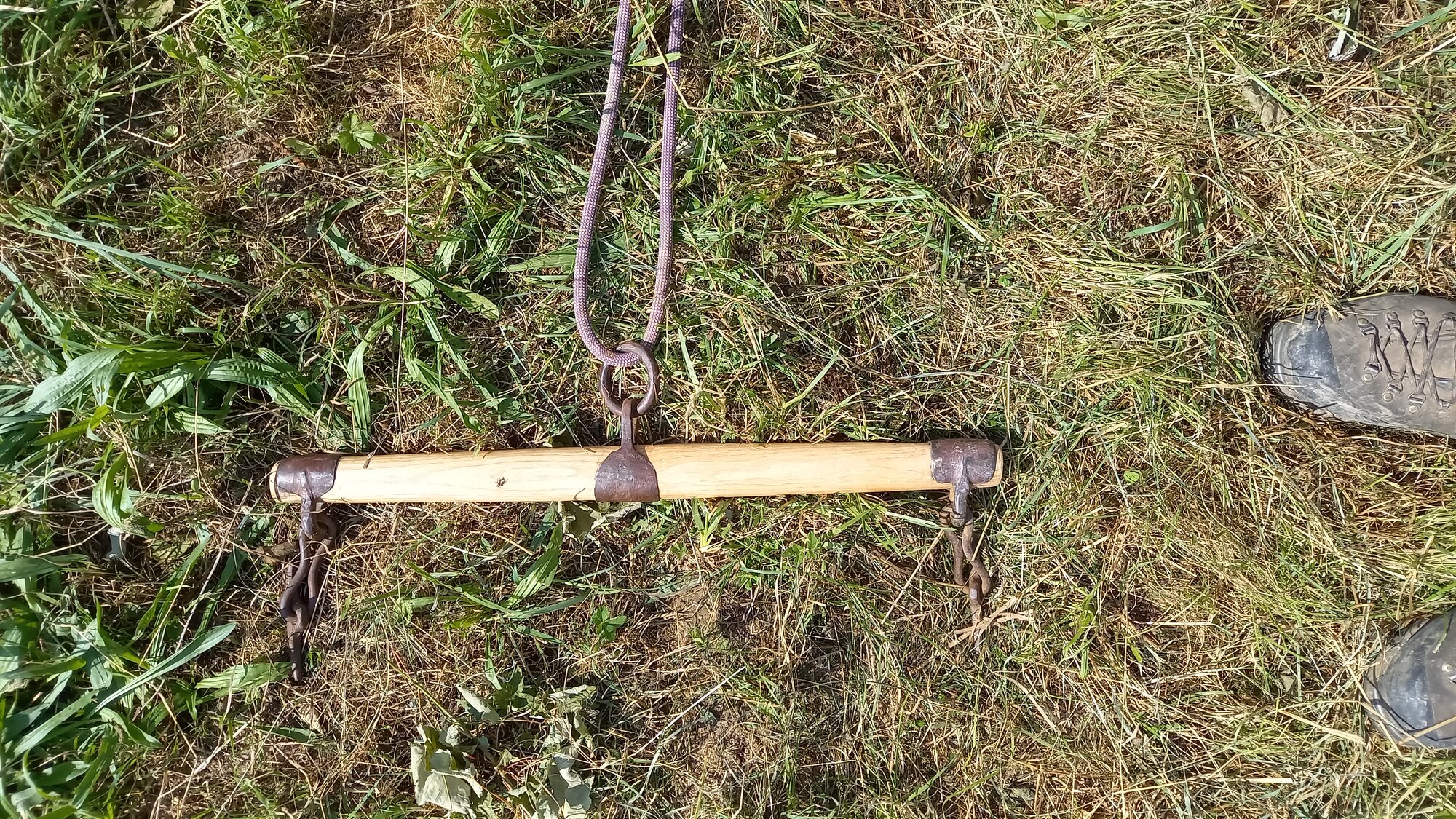 Enter your caption here...