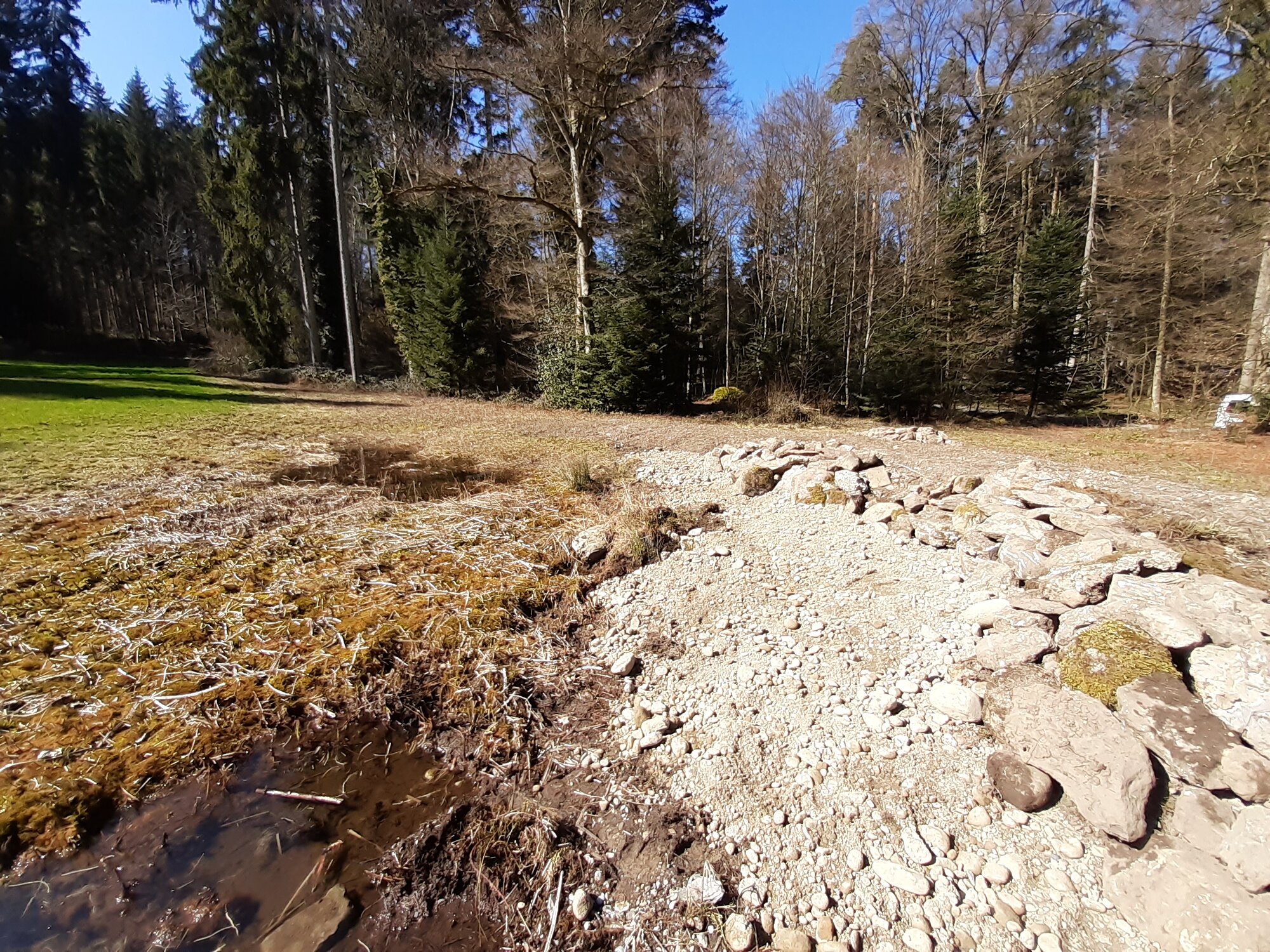 Enter your caption here...