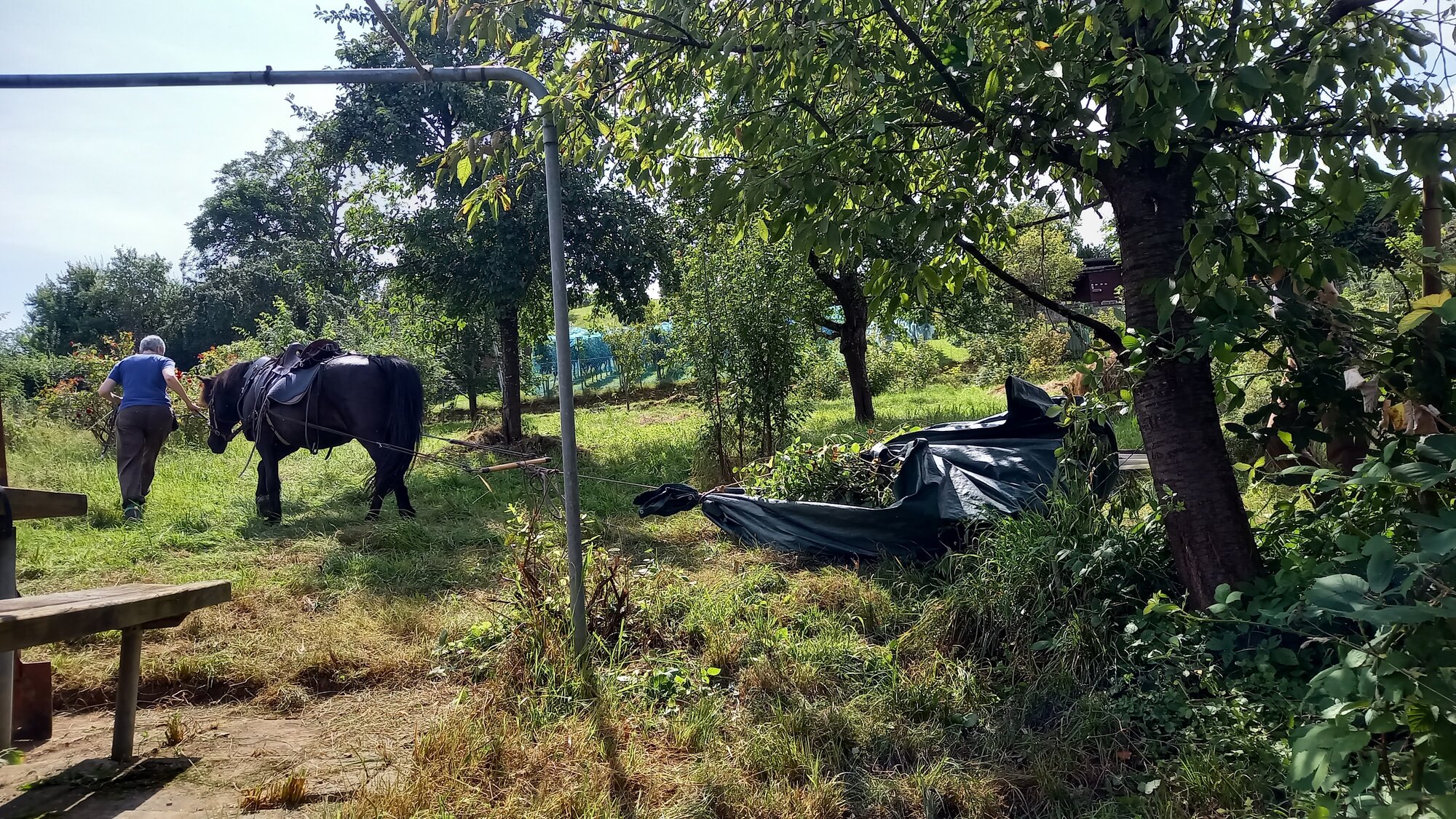 Enter your caption here...