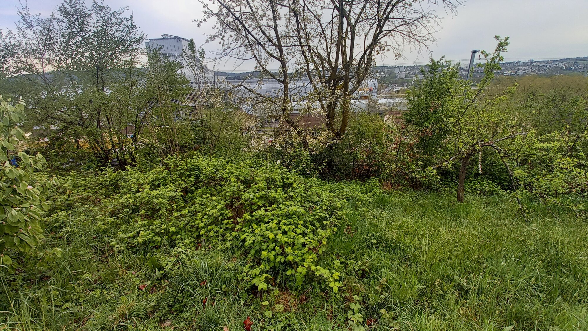 Enter your caption here...