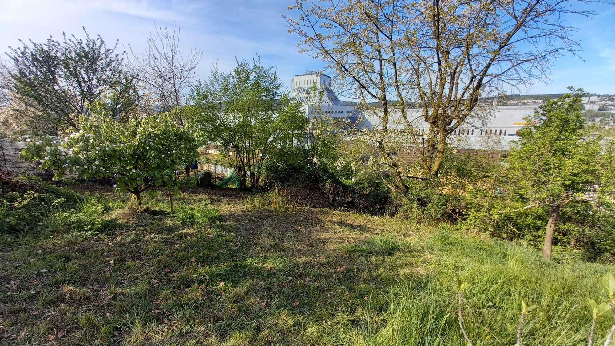 Enter your caption here...