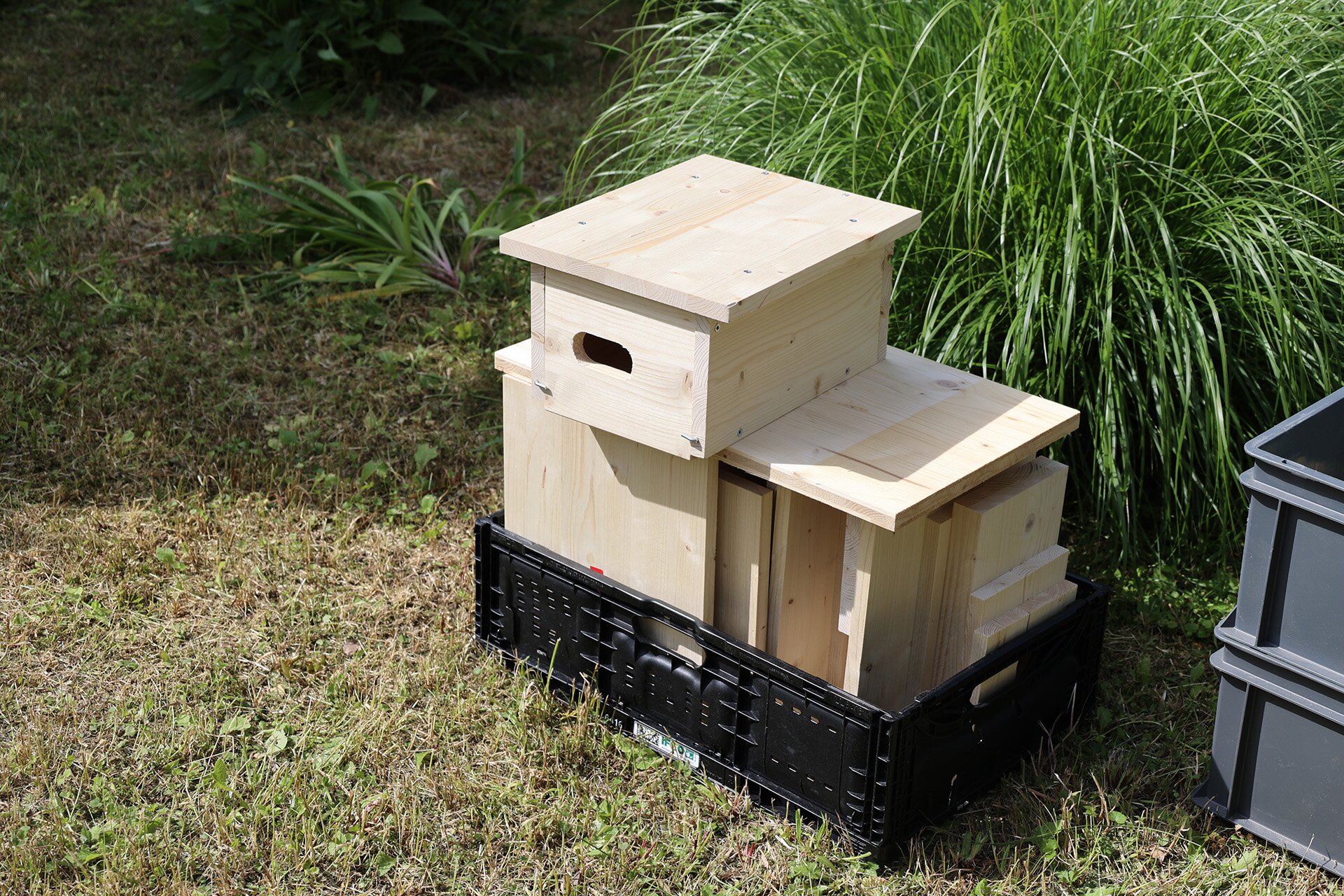 Enter your caption here...