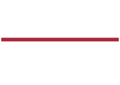 Presidents Day Sale