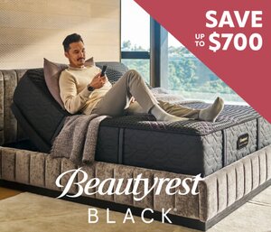 Shop Beautyrest Black