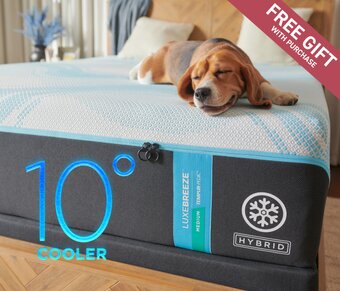 Tempur-pedic
