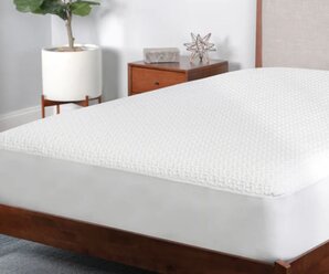 Mattress Protectors