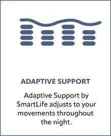 Adaptive Support