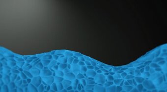 Infinitely Adaptable Support