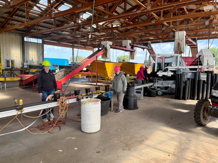 Tree Source crew potting plants on the line at the Rupert, Idaho farm