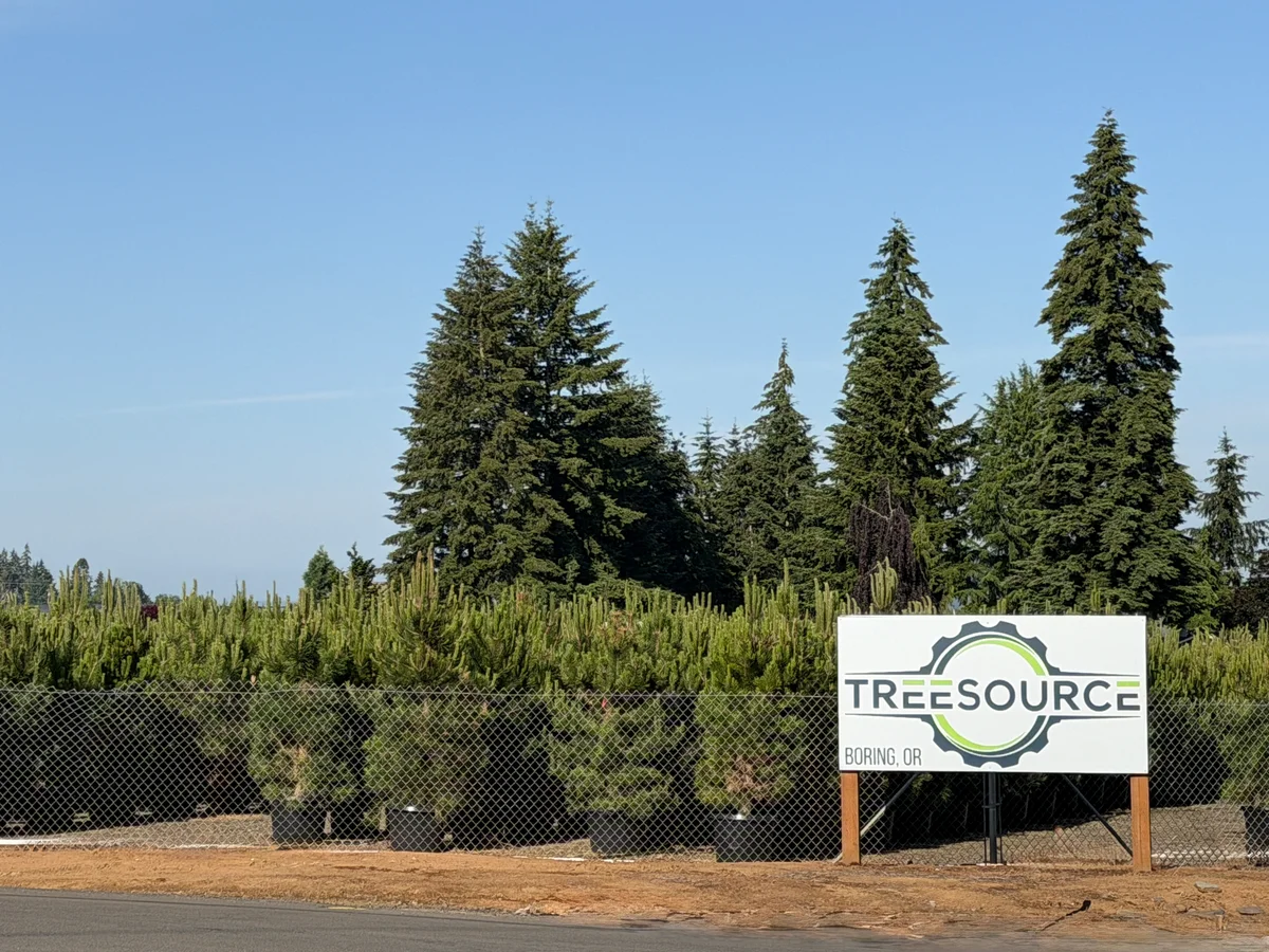 The Tree Source sign at the Boring, Oregon farm in front of tall field-grown evergreens