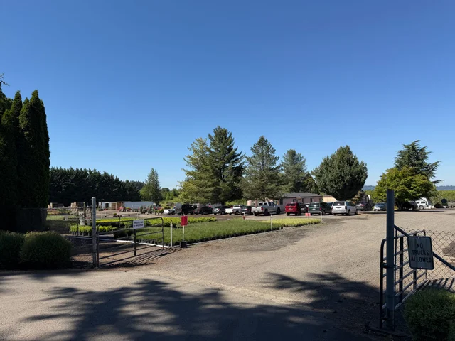 The front gate and entrance drive at Tree Source's Boring, Oregon farm, with nursery rows and tall conifers beyond