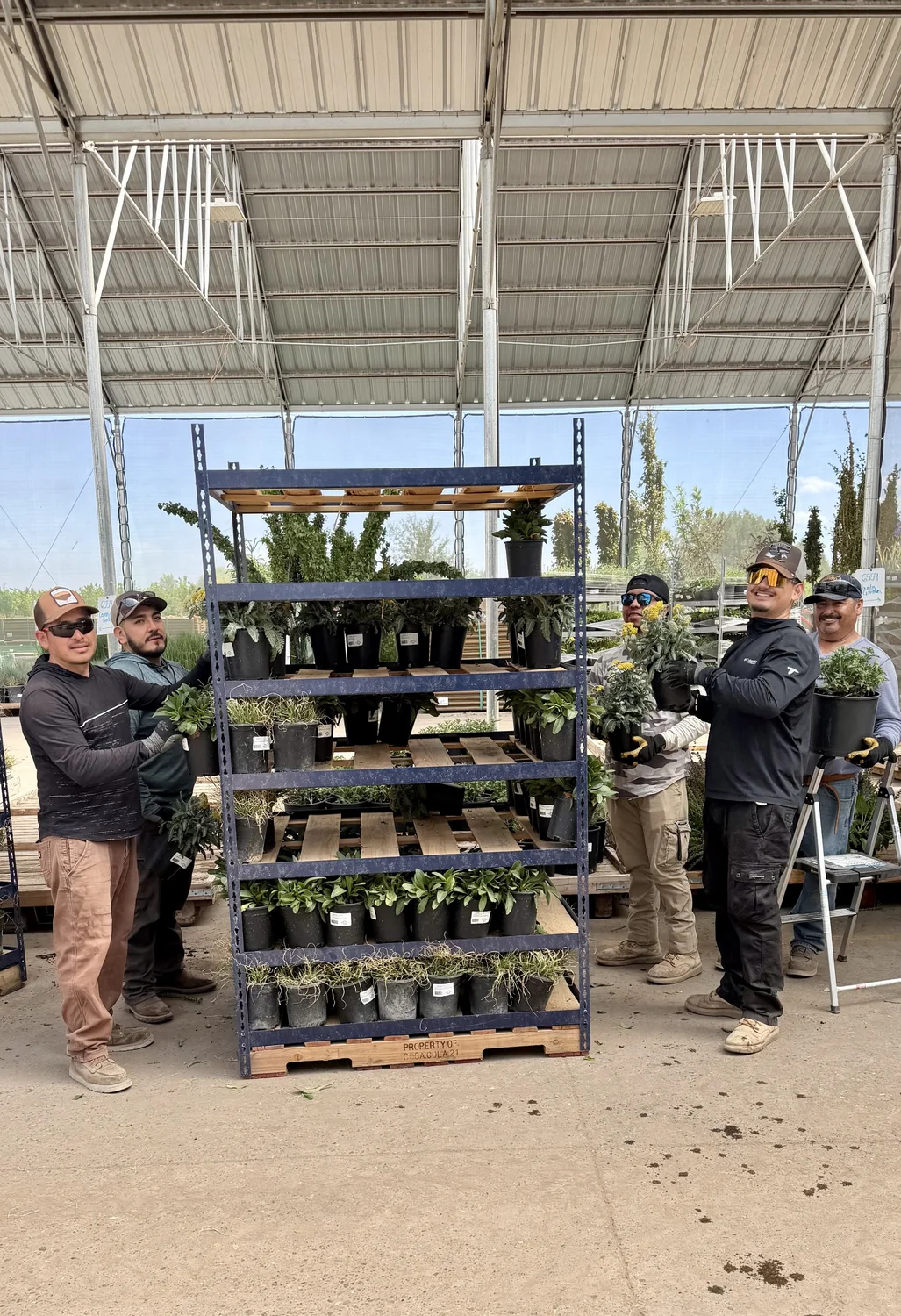 The Tree Source crew at the Rupert, Idaho farm holding plants pulled for an order