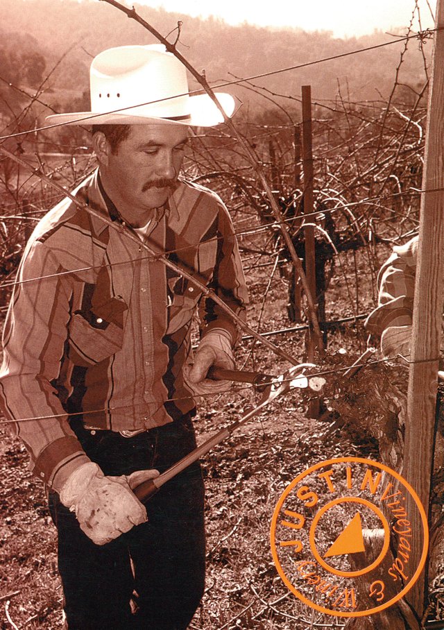 An old, sepia image of a harvester in a cowboy hat pruning the bare vines. 
