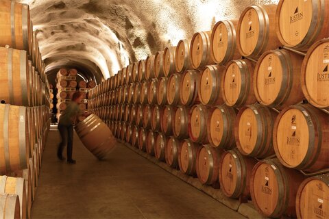 Dozens of wooden wine barrels with silver trim and the JUSTIN logo stacked honeycomb-style along the cement cave walls.