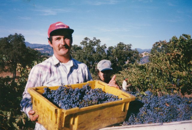 An old image of a man holding a yellow crate filled with blue-ish purple grapes with trees and mountains behind him.