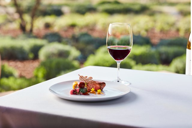 A glass of red wine and a seared duck breast with colorful garnishes including an autumn leaf-shaped crisp. 