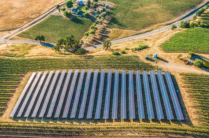 From sheep replacing herbicide to solar panels powering the whole estate, sustainability is built into everything we do.