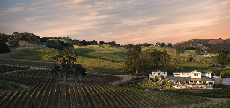  The green, rolling vineyard hills and the white buildings of the JUST Inn sit under a peach-colored, dusk sky.