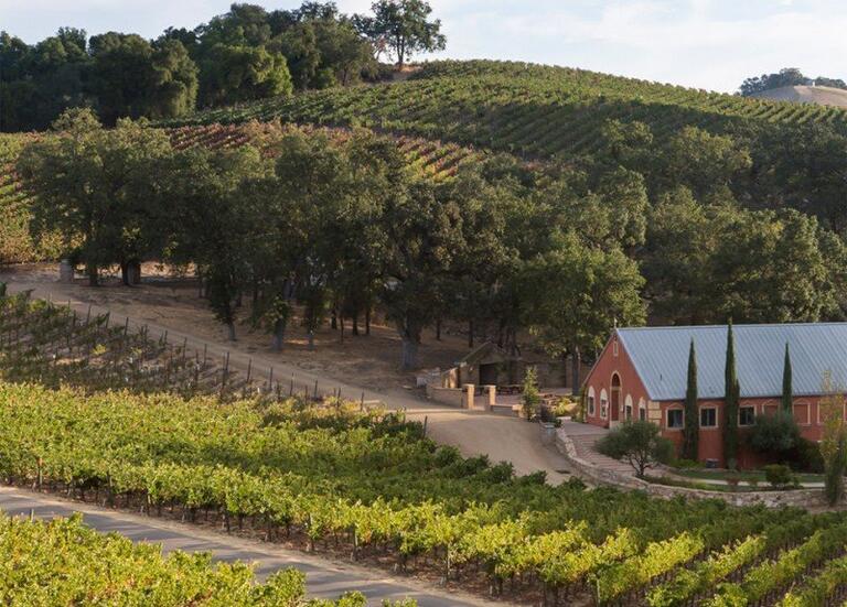 Streaks of sunlight paint the green vineyard rows on hills surrounding a dusty red, barn-shaped building. 