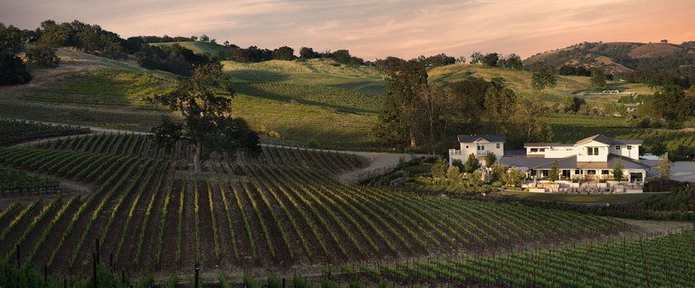 The green, rolling vineyard hills and the white buildings of the JUST Inn sit under a peach-colored, dusk sky.