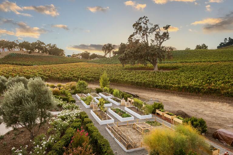 A smiling couple enjoys glasses of JUSTIN ISOSCELES and dessert in the patio shade,  the sunny vineyards behind them.