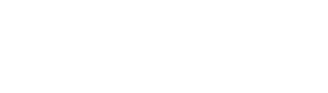 The New York Times Logo