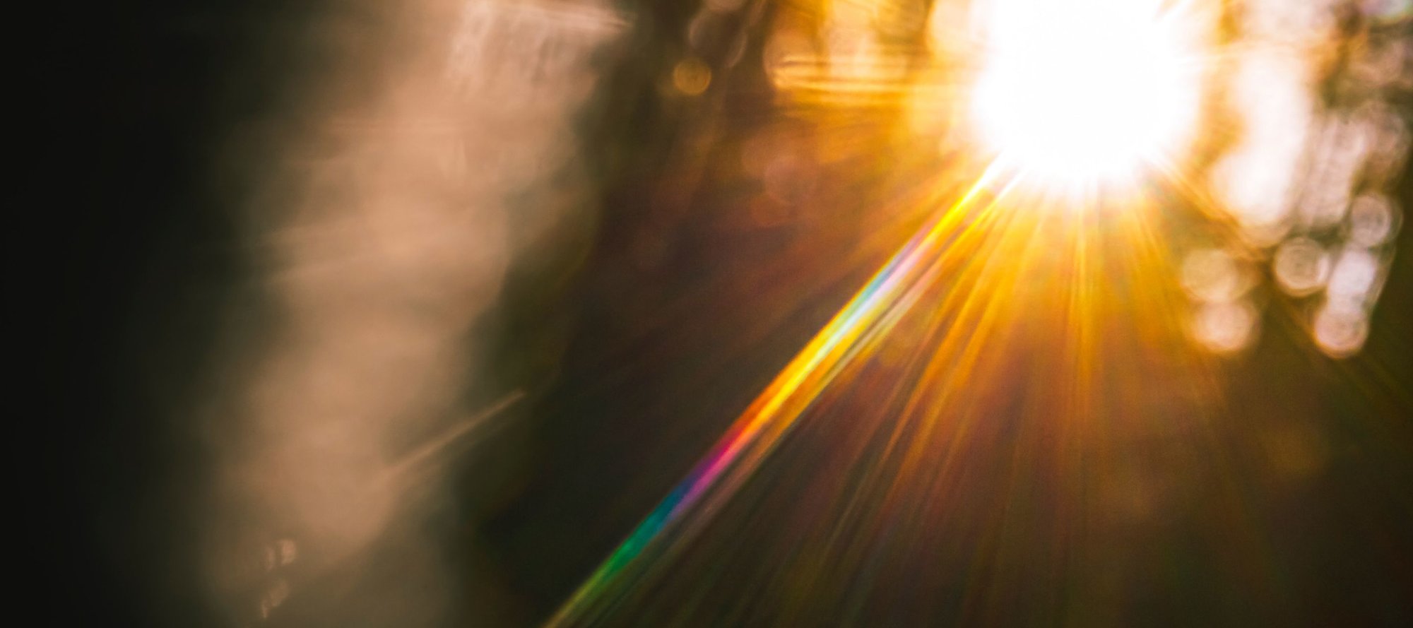 Blurred sunshine through foliage