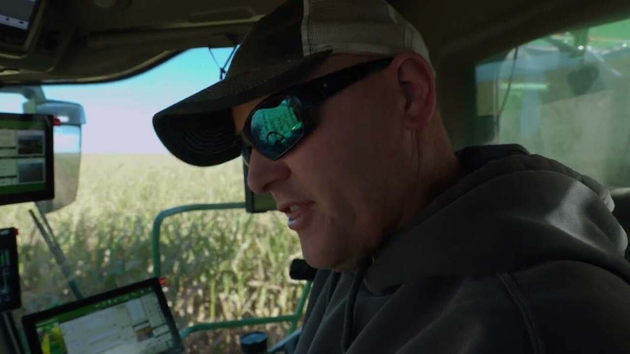 A close up of planted bulbs in the dark brown soil sprouting bright green foliage