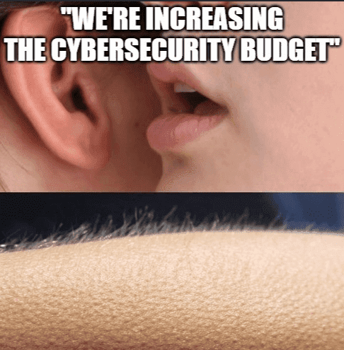 Cybersecurity Meme 32