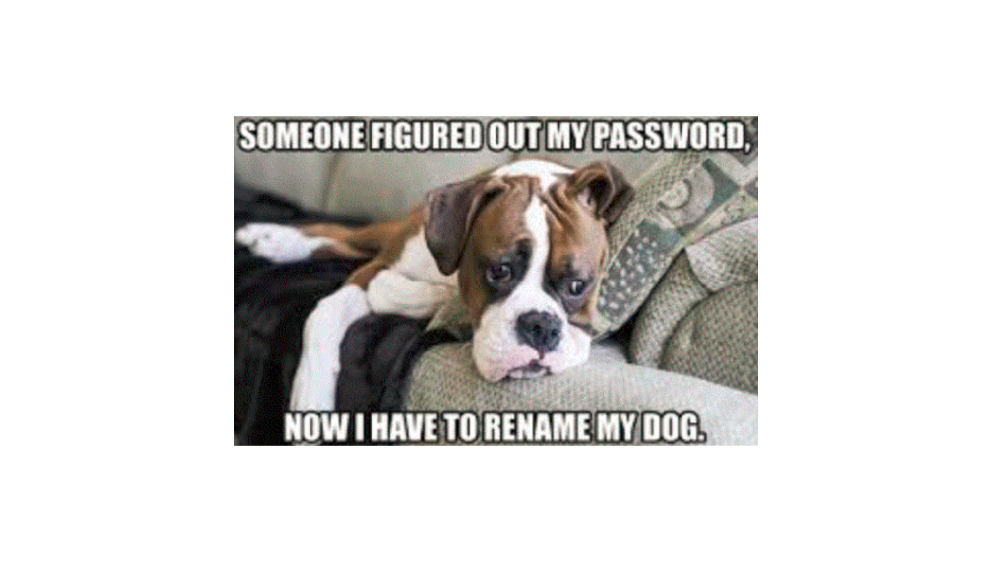 Cybersecurity Meme 14
