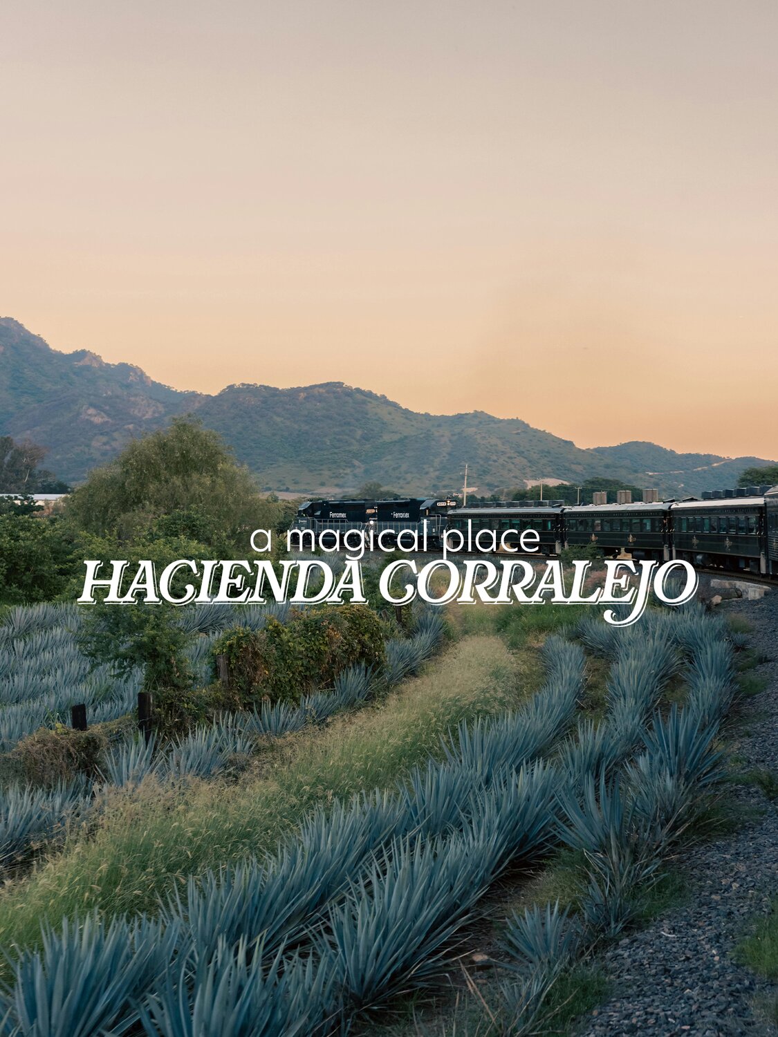 Casa Corralejo Tequila