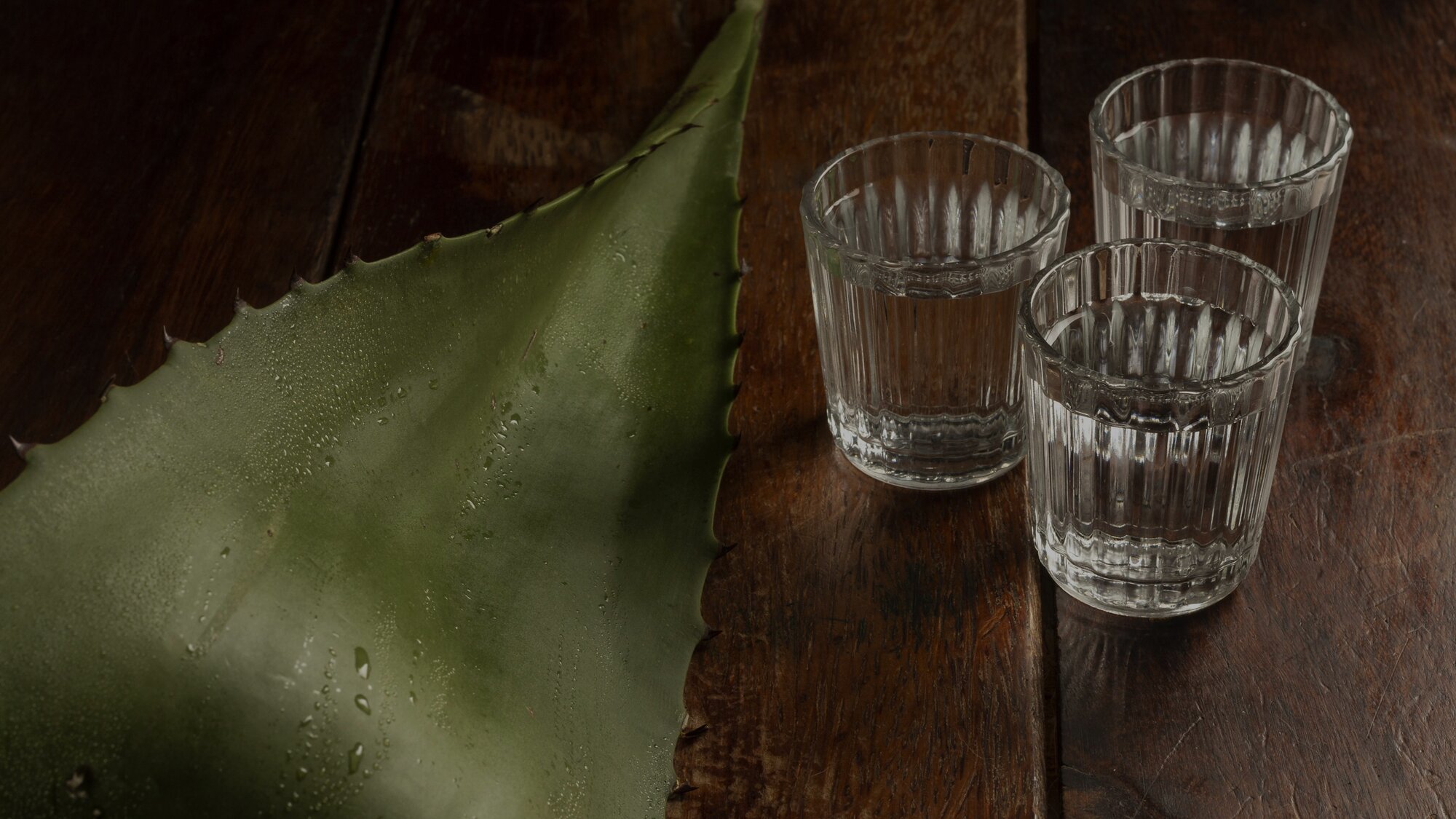mezcal-slideshow-02