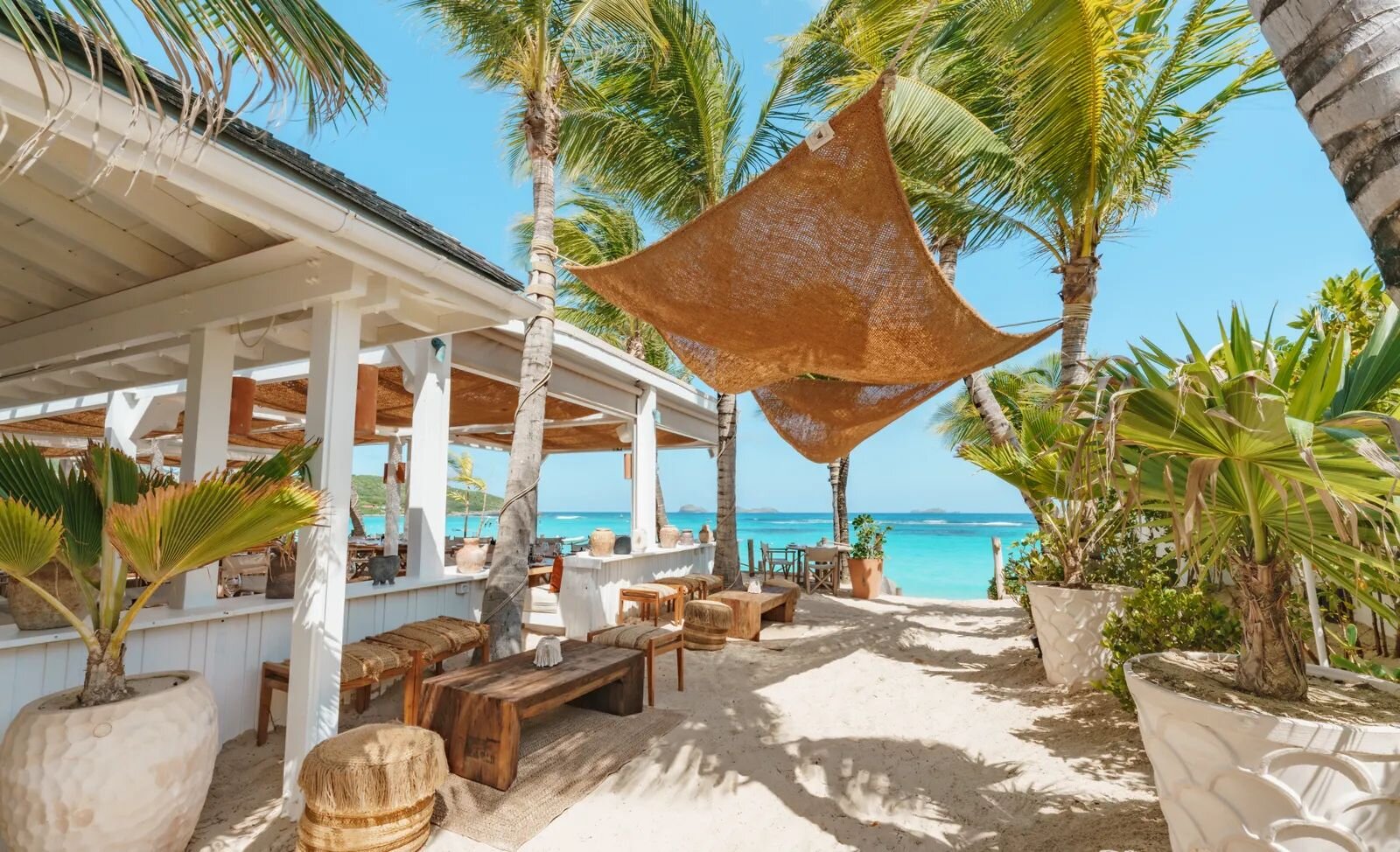 Luxury Beach Club Scene