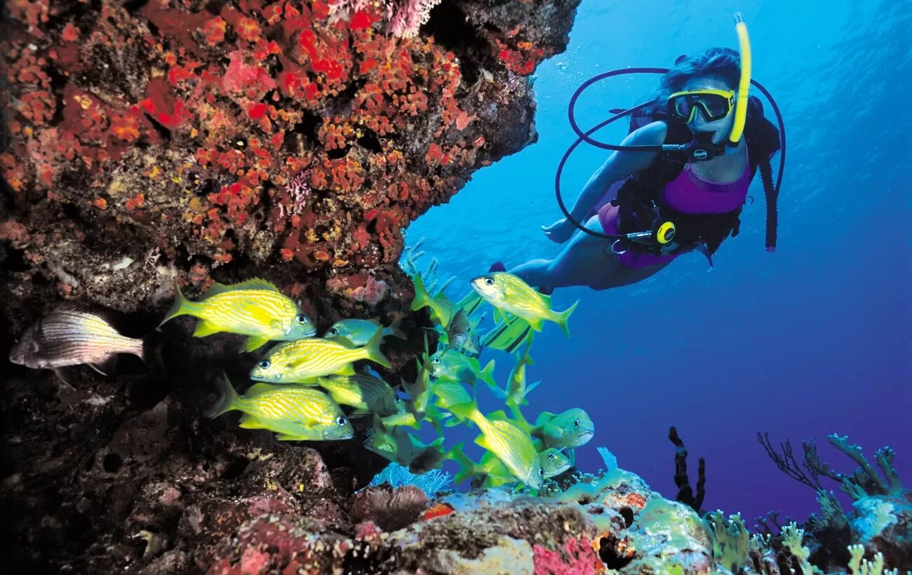 Water Sports & Marine Adventures